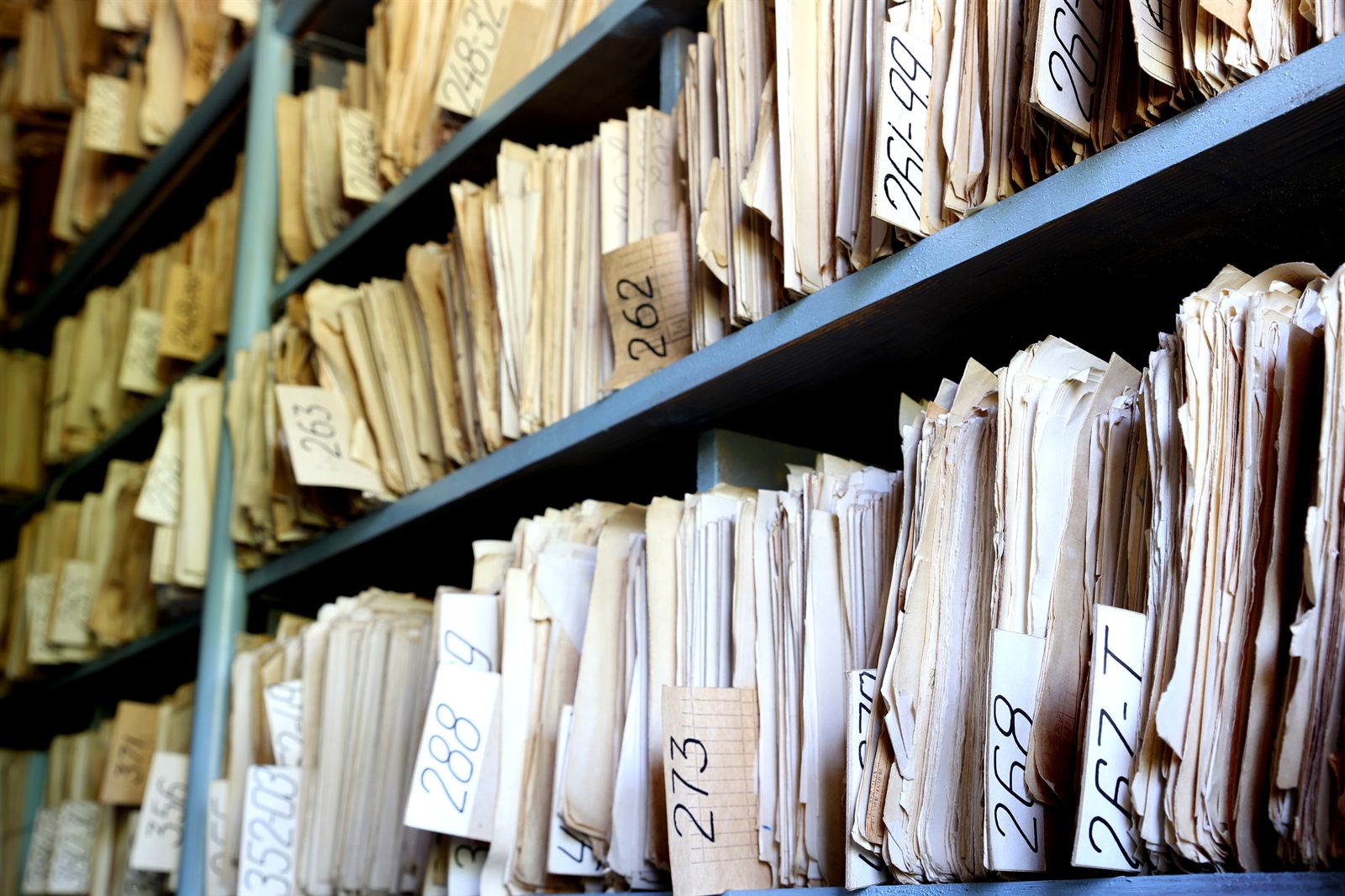 Shelves of archived business files and folders