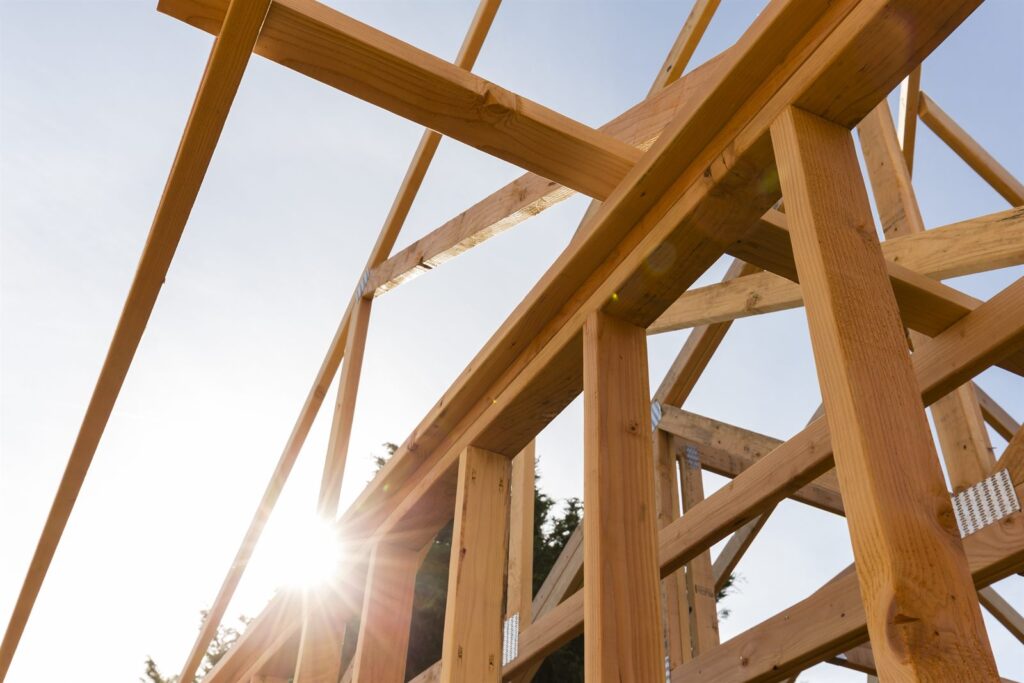Timber roof framing photographed against the sun