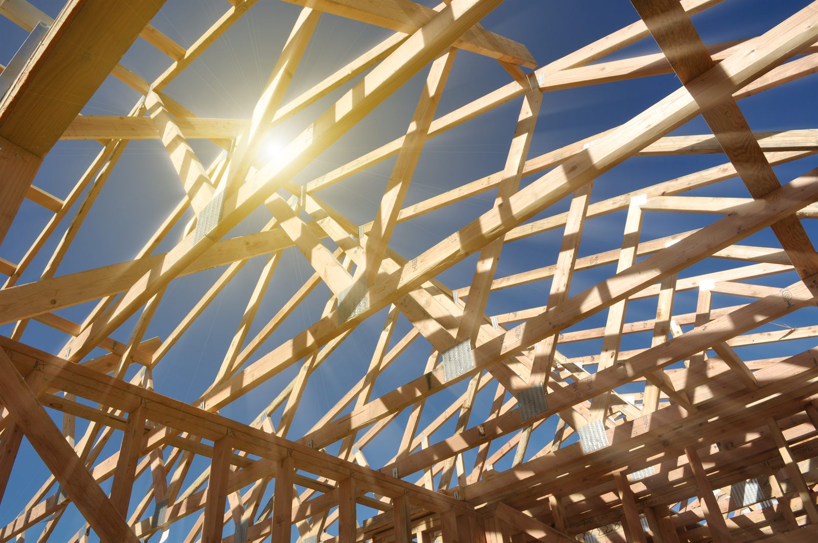 Timber roof trusses photographed from below against the sun