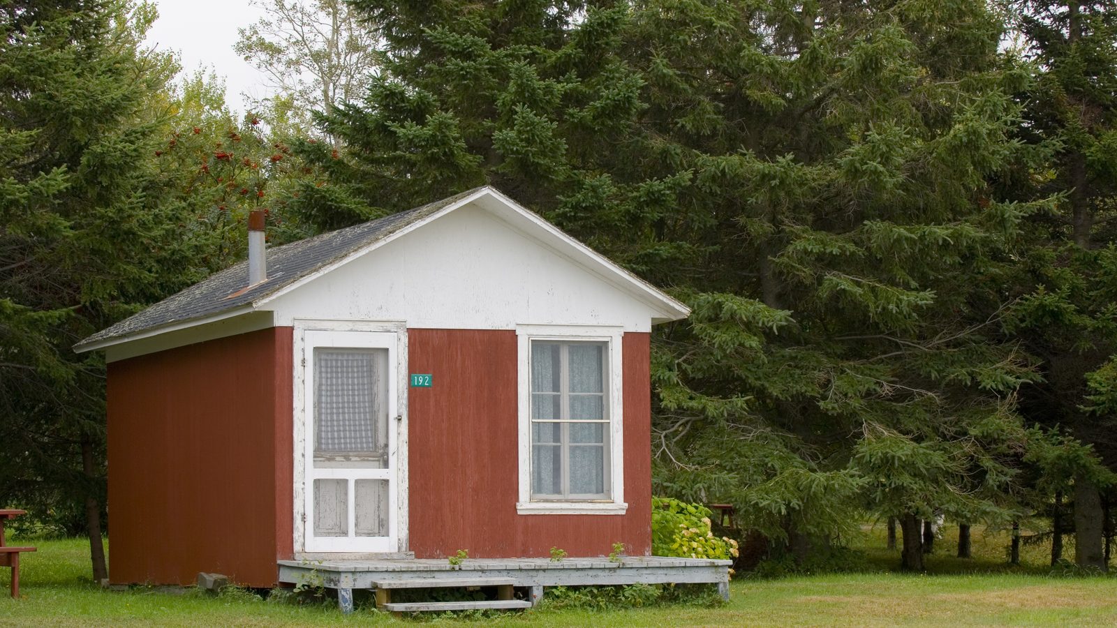 A small rural cottage surrounded by trees, eligible for USDA rural housing financing